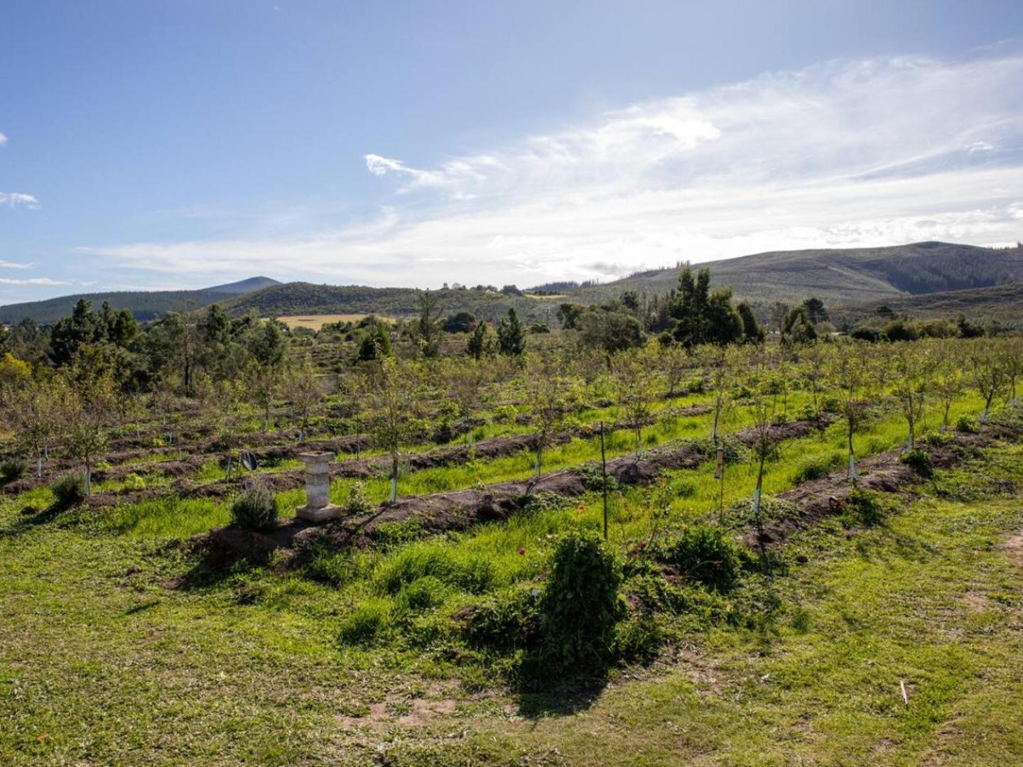 20 Good Summers Farm Stay The Crags Exterior photo